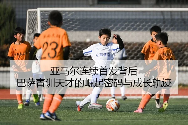 img_1780584956402_29_1_788.jpg